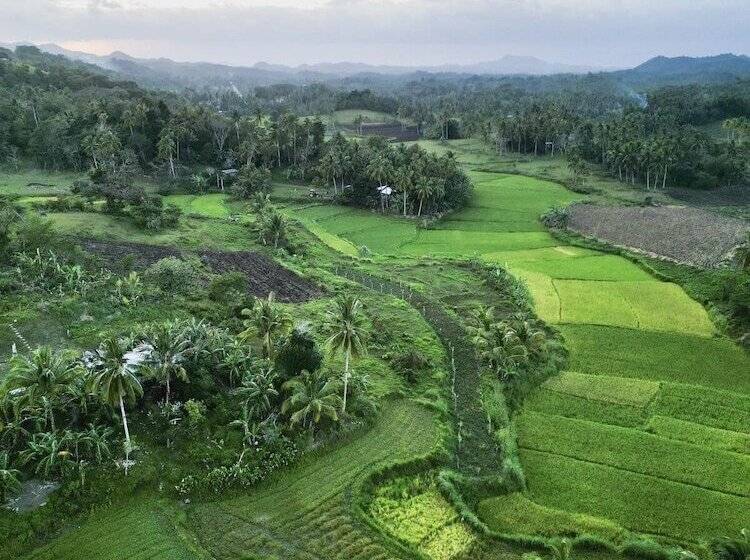 فندق Sobral Rice Terraces View