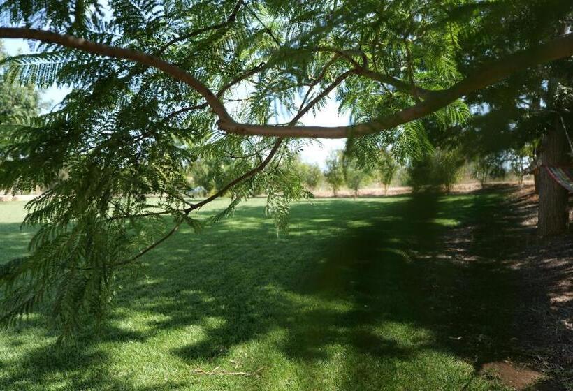 بنسيون Agriturismo Masseria San Basilio