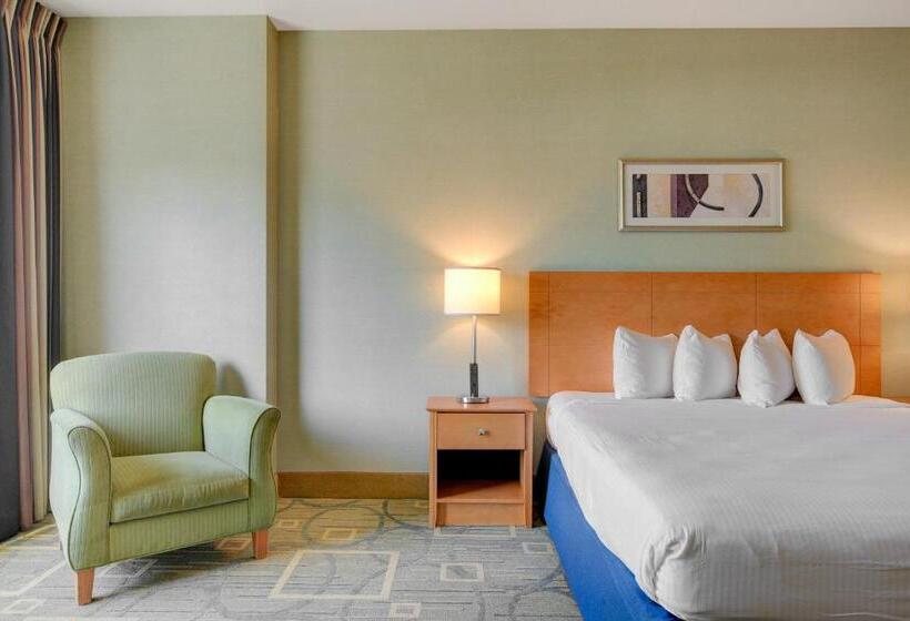 Princess Suite Platinum