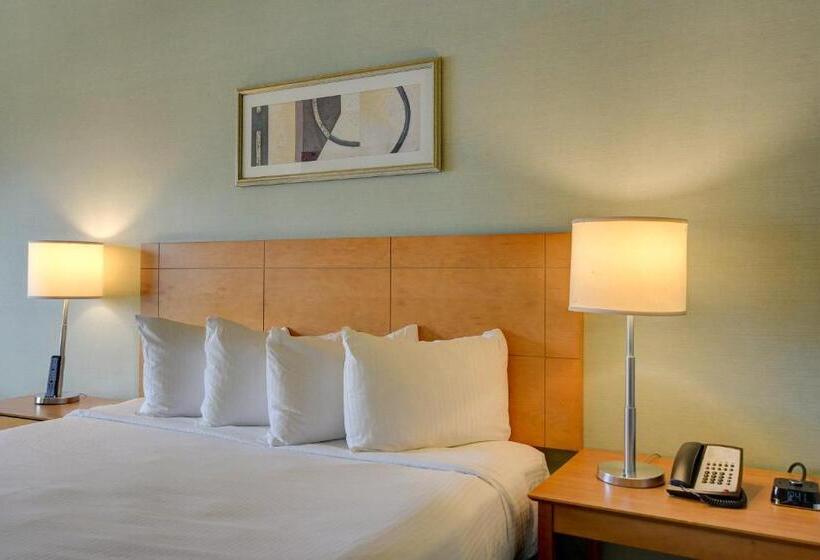Princess Suite Platinum
