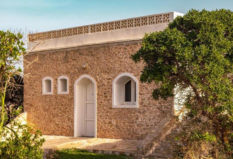 The Mogador S Oasis