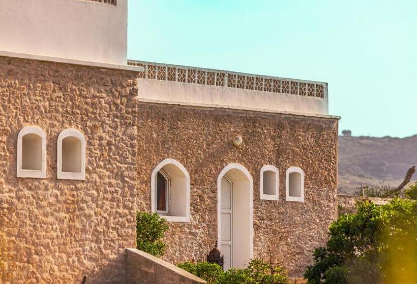 The Mogador S Oasis