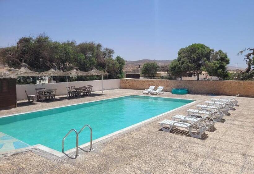 The Mogador S Oasis