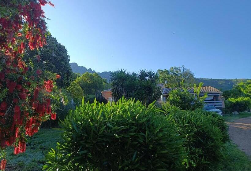 ペンション Chambre D Hôte Cosy