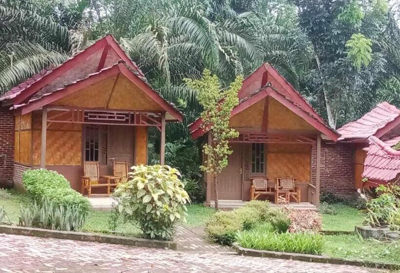 بنسيون Orchid Bugalows