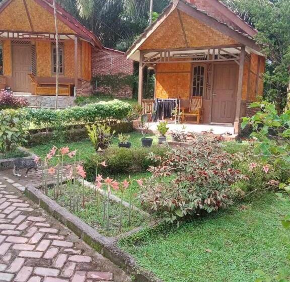 بنسيون Orchid Bugalows