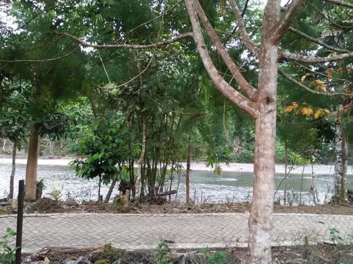 بنسيون Orchid Bugalows