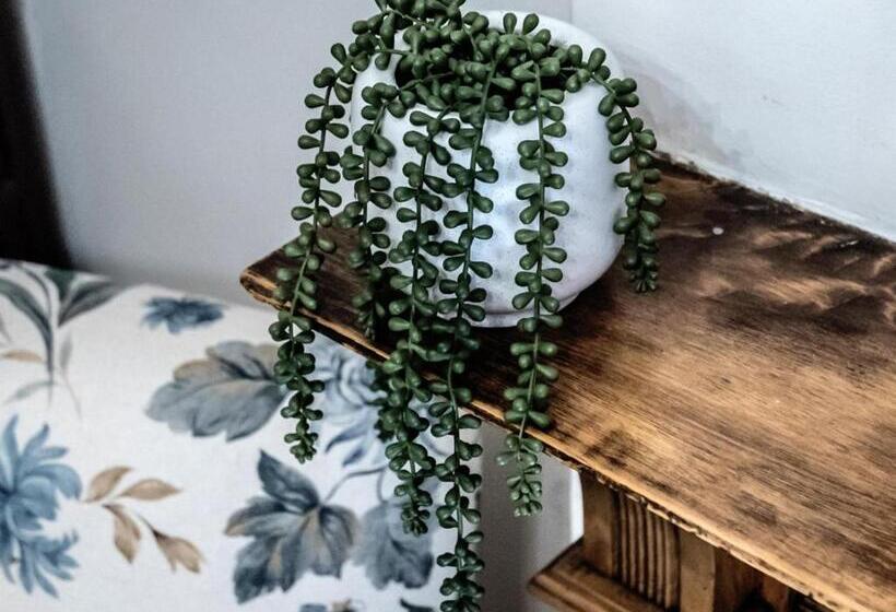 ペンション Vier Seisoene Gastehuis