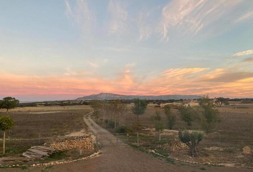 مبيت وإفطار Finca Las Botas