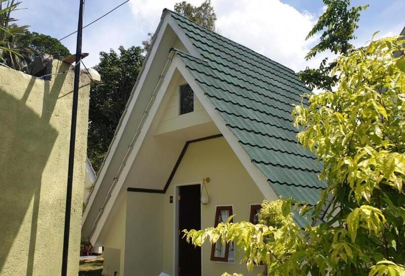 ホテル Kaliningrad Cottage