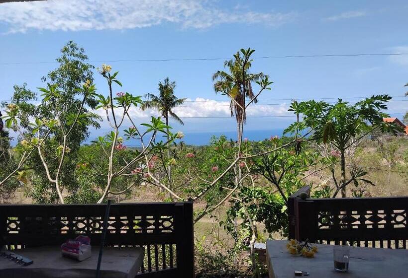 بنسيون Ameli Bed & Breakfast
