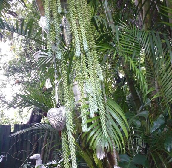 פנסיון Casa La Moore Self Catering Accomodation