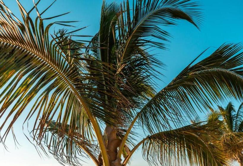 فندق Beso De Sal Resort