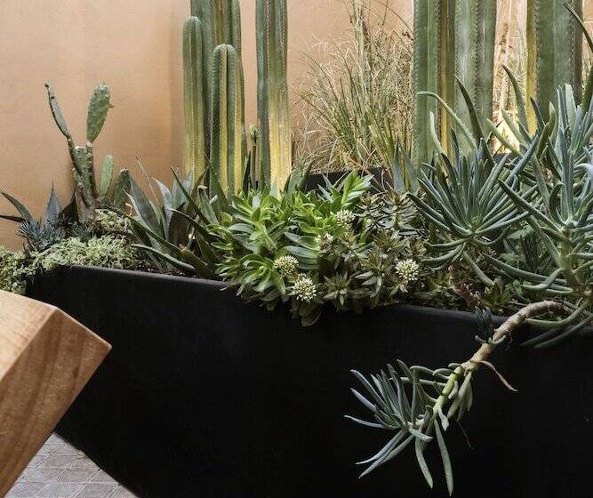 هتل Macondo Arte Oaxaca