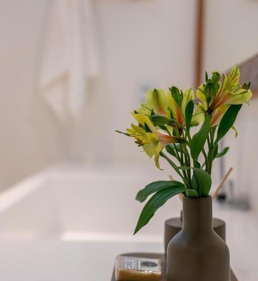 هتل Boutique Vila São João