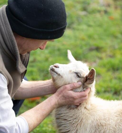 בית מלון כפרי Hideaway Farmlet Romantic Cottage With Miniature Goats