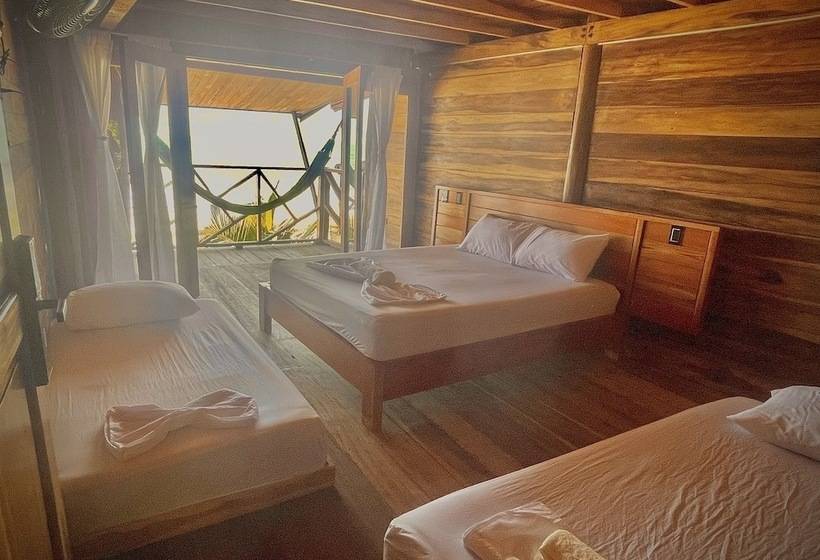 پانسیون Hostal Mocambo Beach