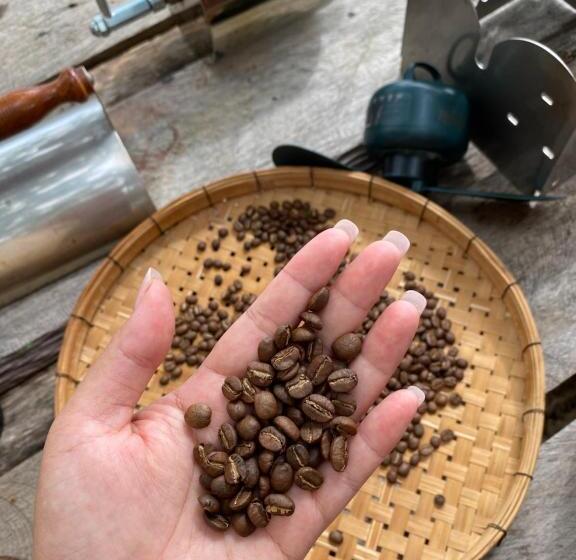 膳宿费 Simple Life Bungalows