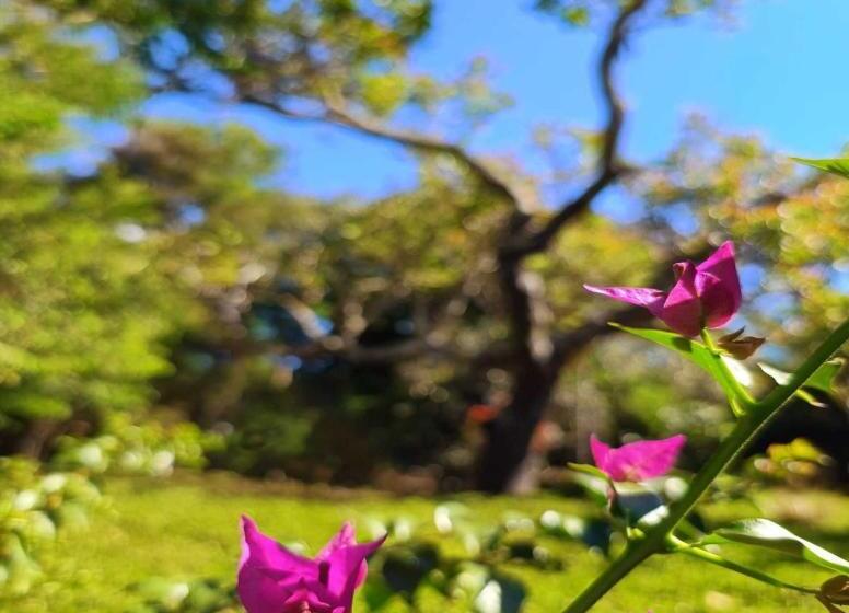 Canastra Hostel E Camping   Quartos