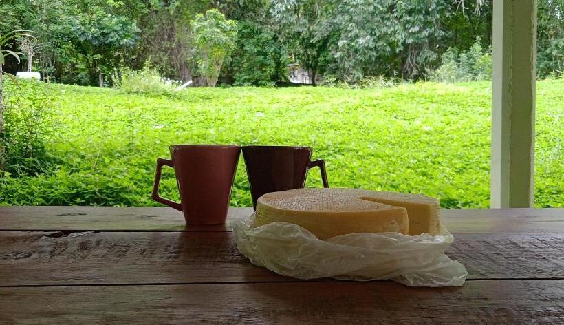 Canastra Hostel E Camping   Quartos