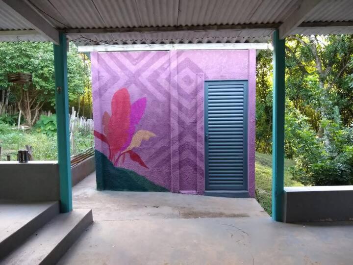 Canastra Hostel E Camping   Quartos