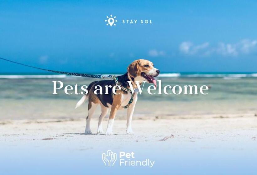 Costa Hollywood Design