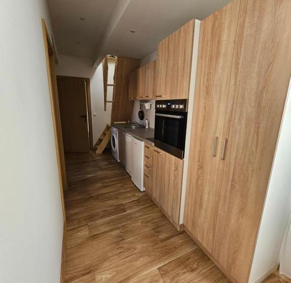 Magazaki Apartments Tešnjar