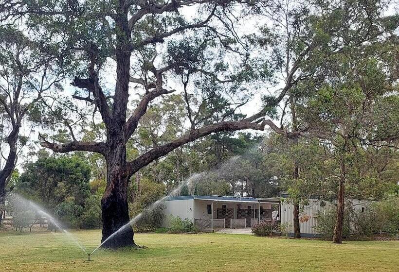 מוטל Mt Barker Holiday Park   Western Australia