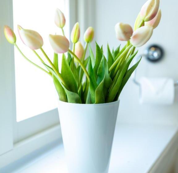 פנסיון Anita På Gästis I Anderslöv