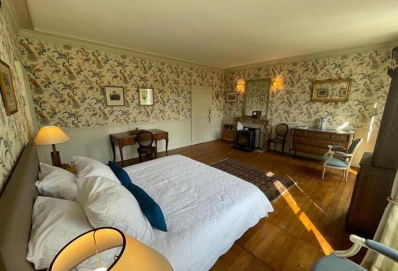פנסיון Château Dans Le Val De Loire
