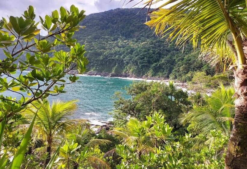 ペンション Quintal Da Mata