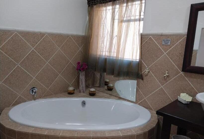 פנסיון Sweet Dreams Guest House Schweizer Reneke