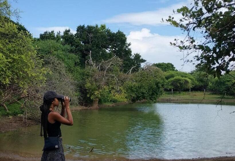 Yala Ying Yang Hostel & Camping