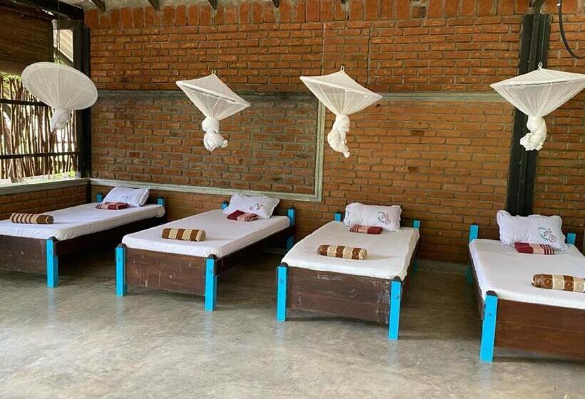 Yala Ying Yang Hostel & Camping