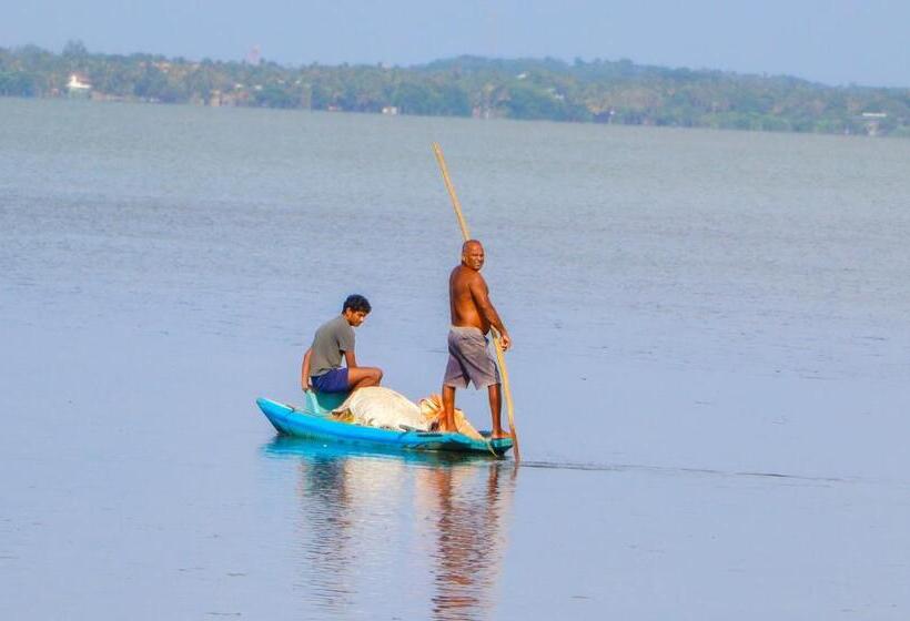 住宿加早餐  Agandau House