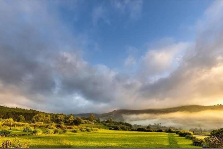 בית מלון כפרי The Oaks