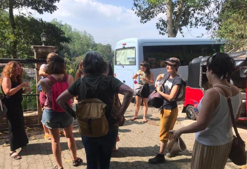 فندق صغير Funk Bunks   By The Lake