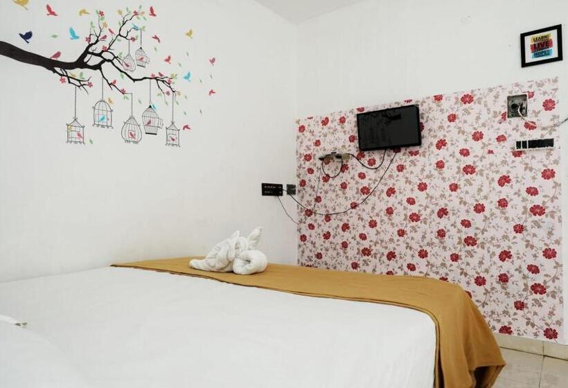 Paradise Feel Dreamy Resort