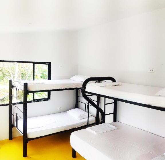 پانسیون Amalaya Hostel