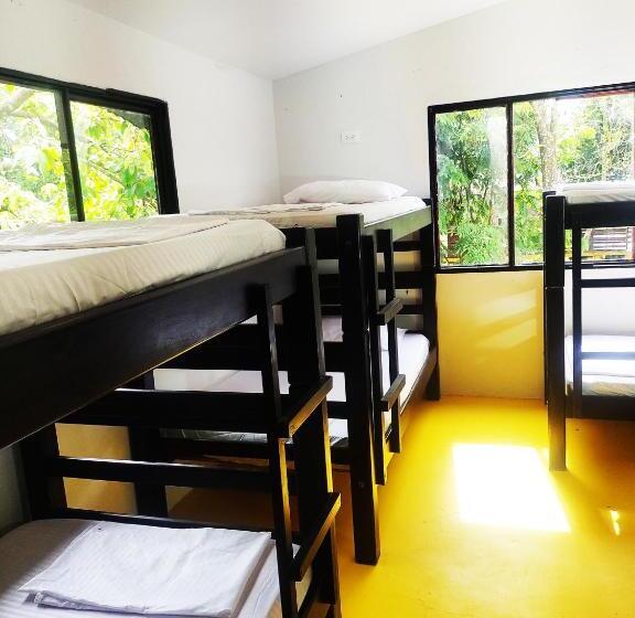 پانسیون Amalaya Hostel