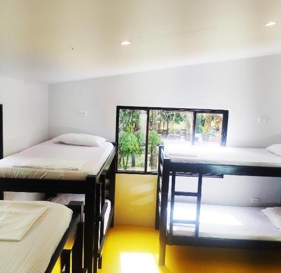 پانسیون Amalaya Hostel