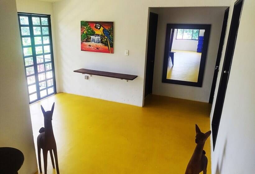 پانسیون Amalaya Hostel