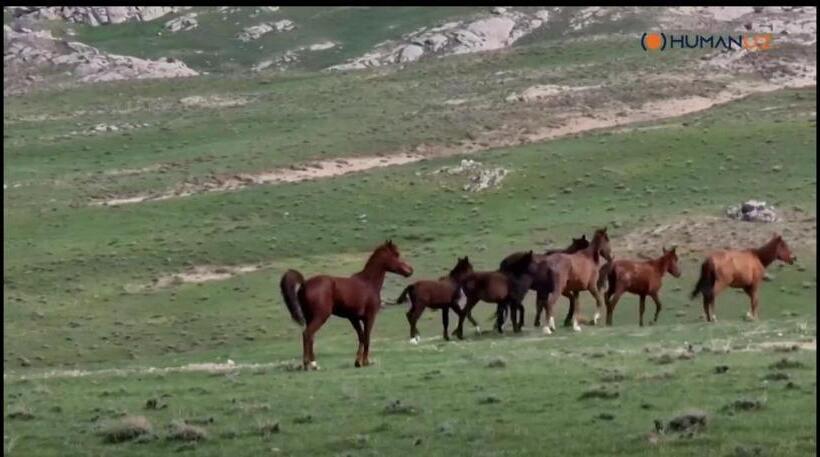 Pensão Damirbek Davronov Guest House