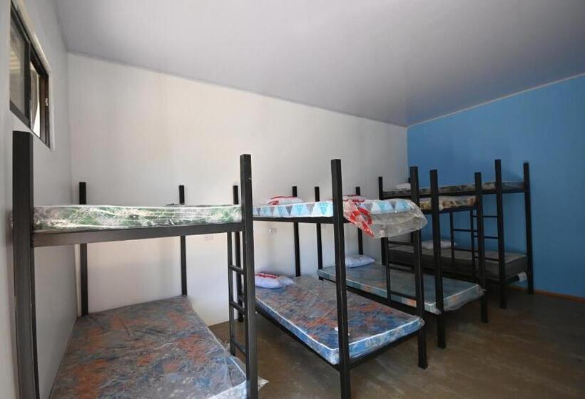 پانسیون Hostel Real