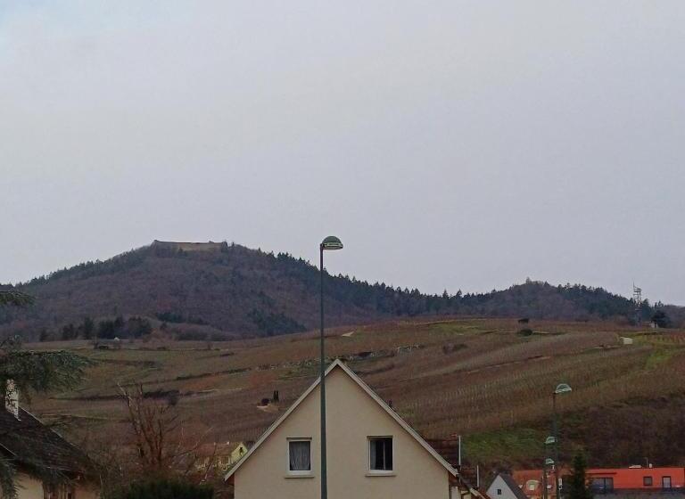 膳宿费 Les Vignobles D Alsace