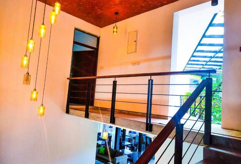 膳宿费 The Yacht Villa Near Colombo International Airport