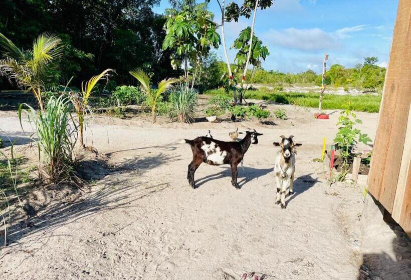 استراحتگاه Land Of Promise