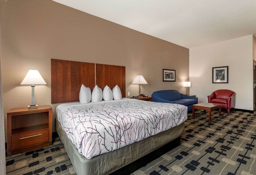 호텔 Best Western Plus Big Lake Inn