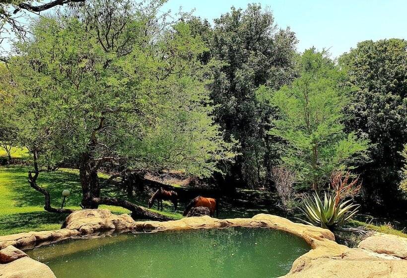 ホテル Blyde River Wilderness Lodge