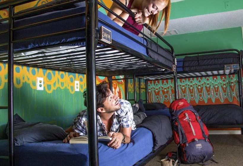 Отель Drifter Jack's Hostel